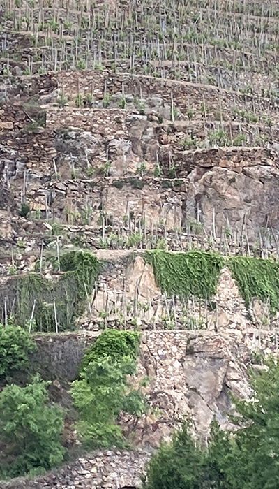 IMG_6807_rhone_septentrional