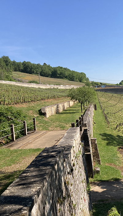 IMG_6931_bourgogne_400