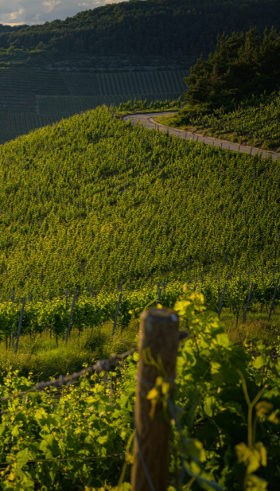 Design sans titre (20)