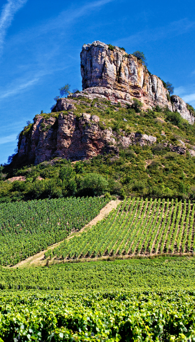 Design sans titre (22)