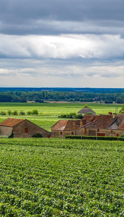 Design sans titre (23)